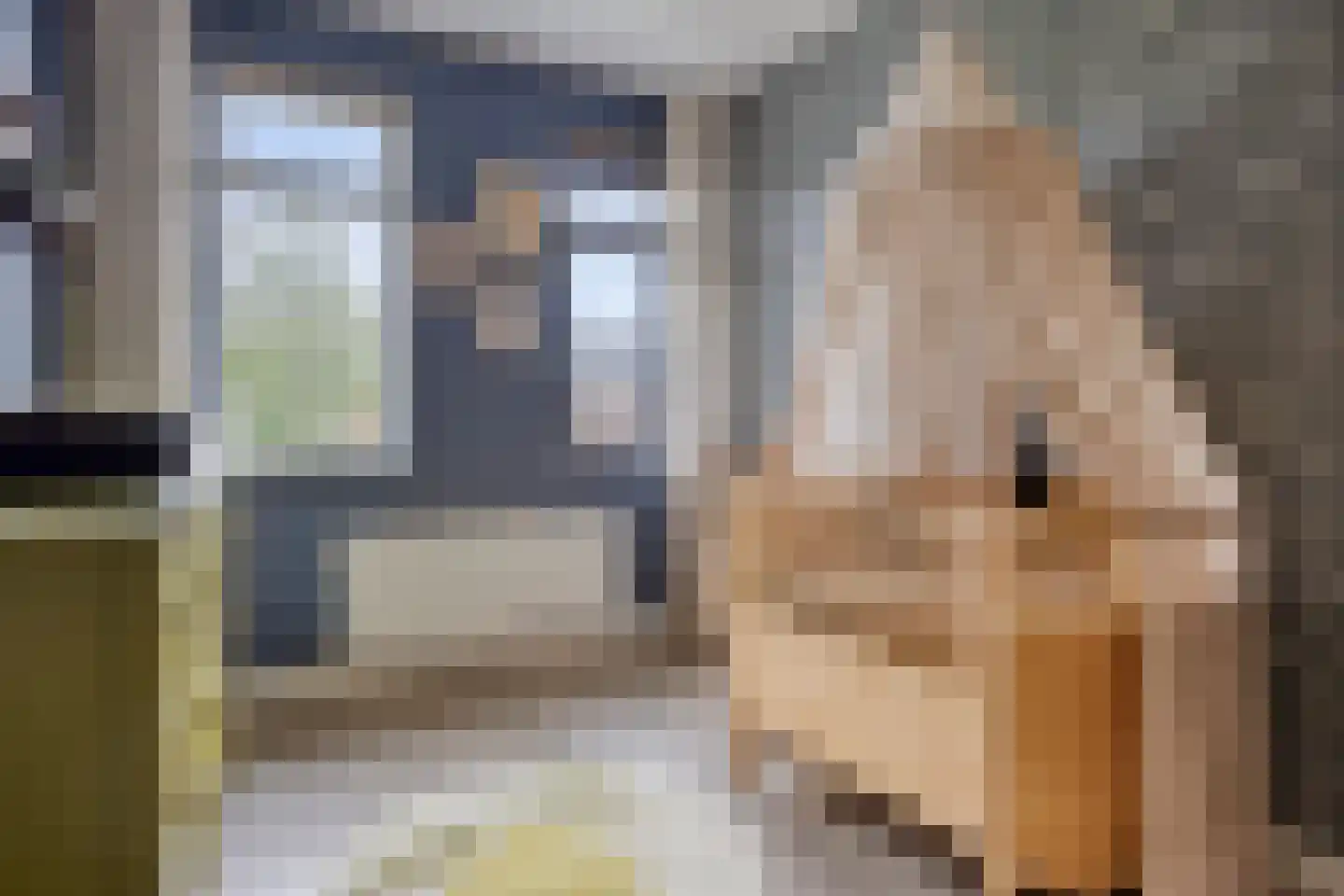 IJzertijd 29 Oosterhout thumbnail 23