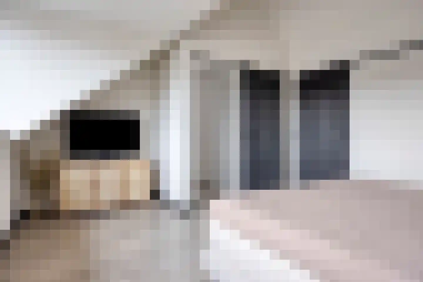 IJzertijd 29 Oosterhout thumbnail 8