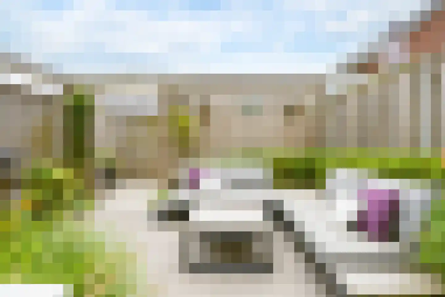 IJzertijd 31 Oosterhout thumbnail 31
