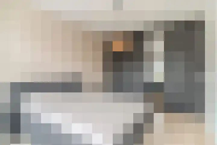 IJzertijd 41 Oosterhout thumbnail 21