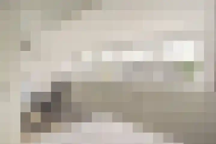 IJzertijd 41 Oosterhout thumbnail 34