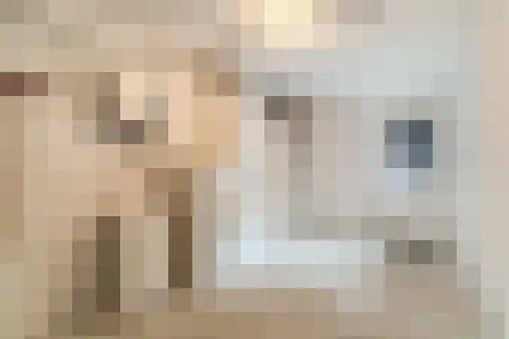 IJzertijd 41 Oosterhout thumbnail 38
