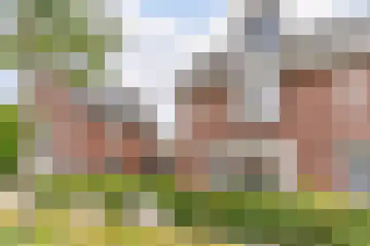 IJzertijd 41 Oosterhout thumbnail 45