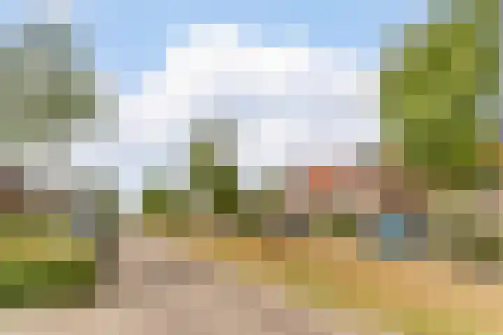 IJzertijd 41 Oosterhout thumbnail 49