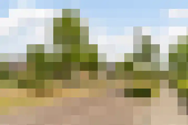 IJzertijd 41 Oosterhout thumbnail 51