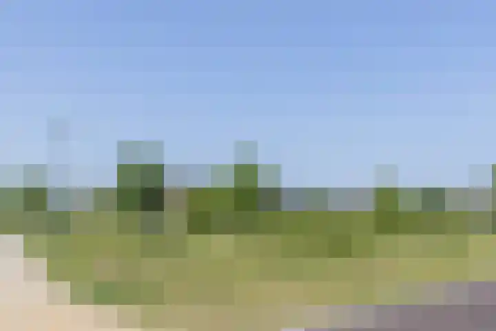 IJzertijd 41 Oosterhout thumbnail 53