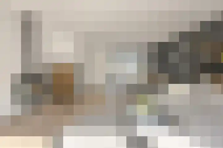 IJzertijd 51 Oosterhout thumbnail 10