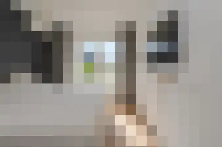 IJzertijd 51 Oosterhout thumbnail 21