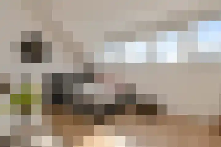 IJzertijd 51 Oosterhout thumbnail 34