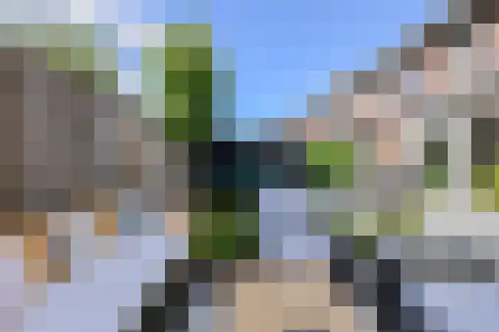 IJzertijd 51 Oosterhout thumbnail 40