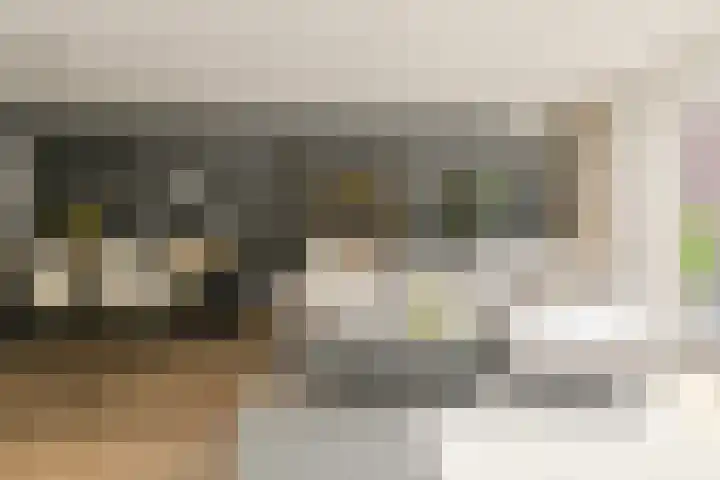 IJzertijd 51 Oosterhout thumbnail 7
