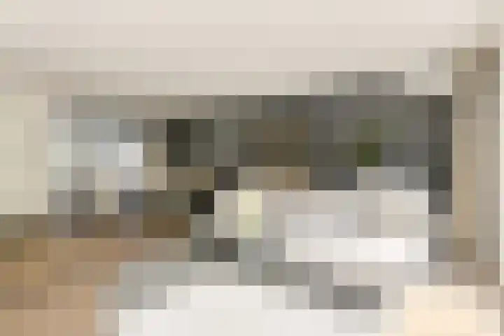 IJzertijd 51 Oosterhout thumbnail 8