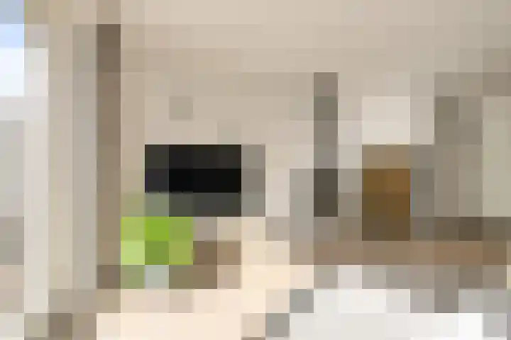 IJzertijd 51 Oosterhout thumbnail 9