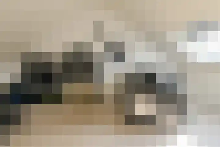 IJzertijd 53 Oosterhout thumbnail 39