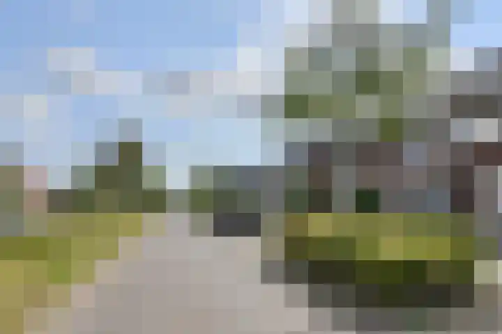 IJzertijd 53 Oosterhout thumbnail 45