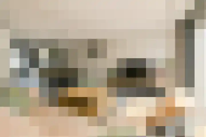 IJzertijd 53 Oosterhout thumbnail 9