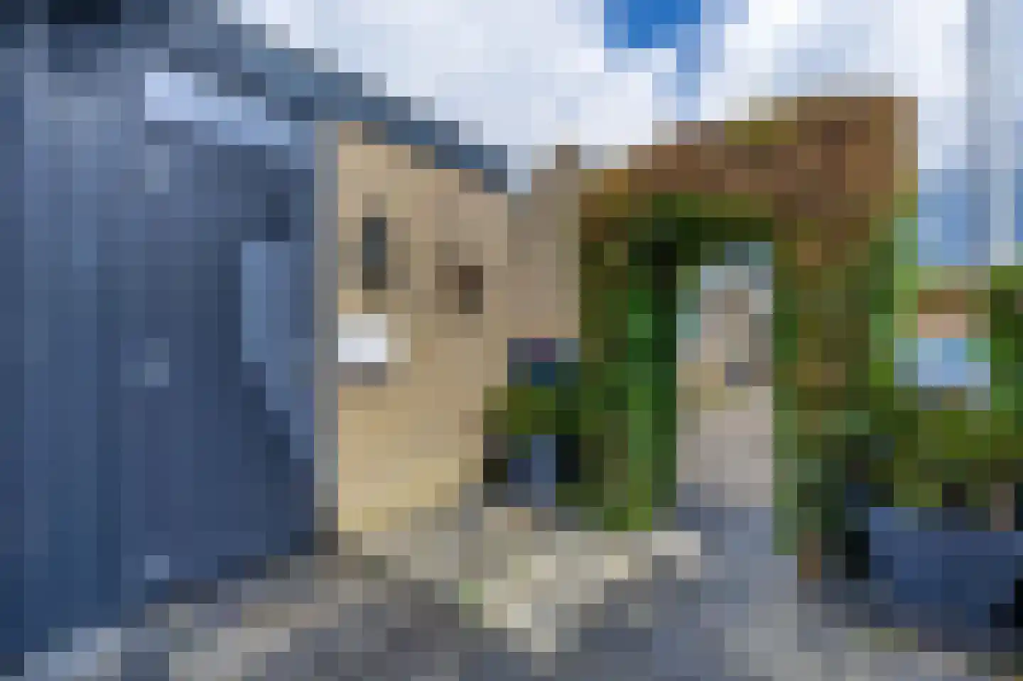 IJzertijdkreek 17 Spijkenisse thumbnail 9