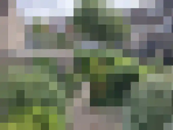 IJzertijdkreek 2 Spijkenisse thumbnail 10