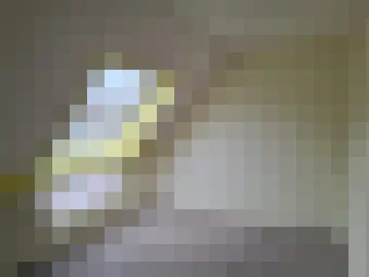 IJzertijdkreek 2 Spijkenisse thumbnail 7
