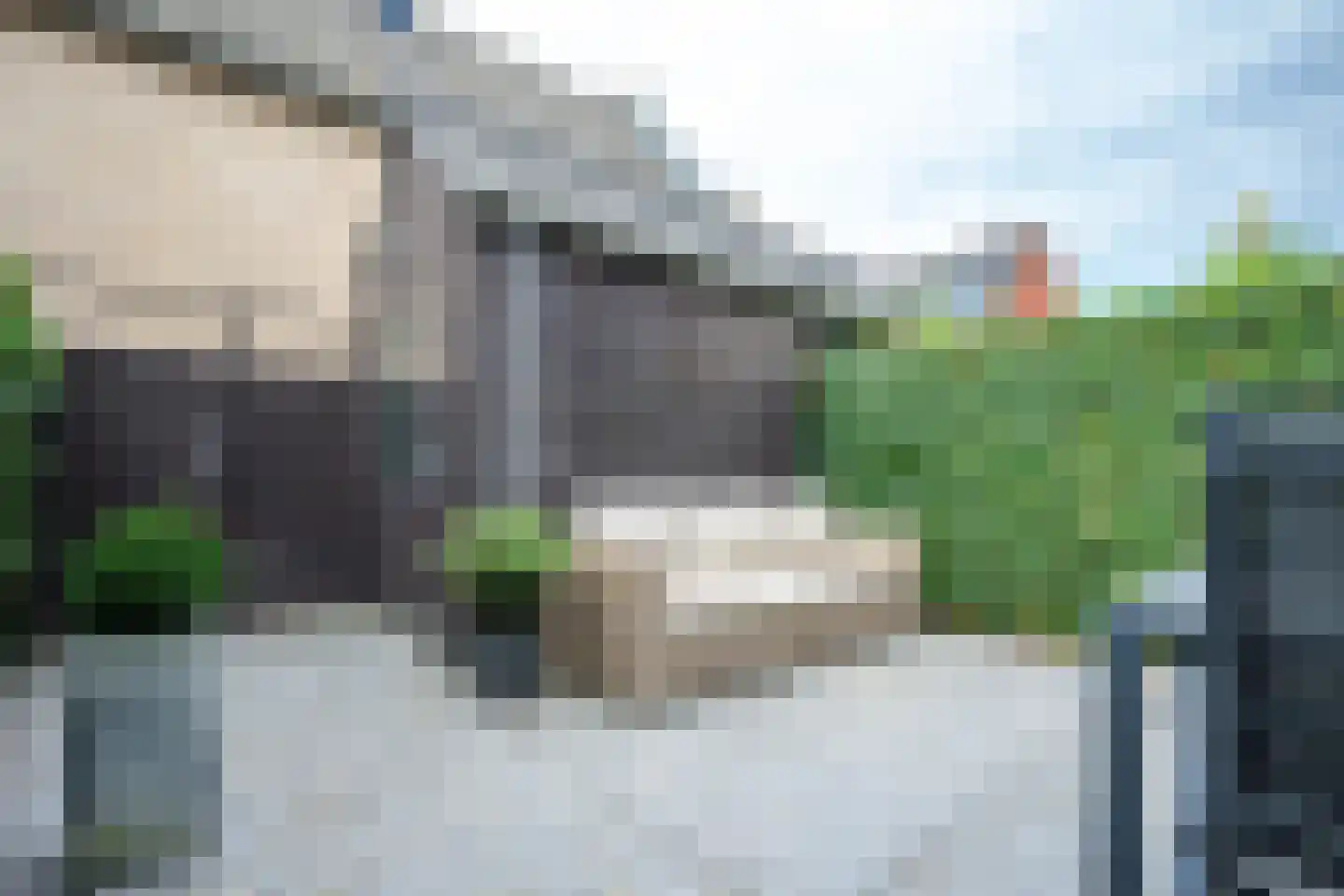IJzerwerf 8 Nieuwegein thumbnail 48