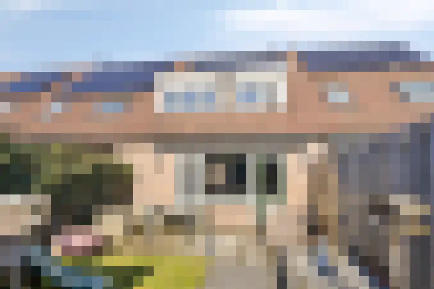 IJzerwerker 11 Sappemeer