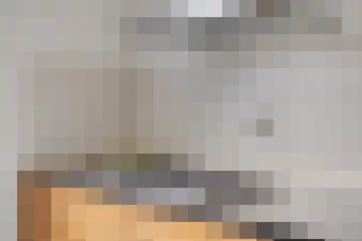 IJzerwerker 11 Sappemeer thumbnail 12