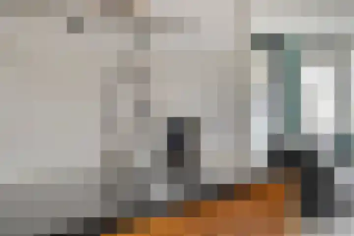 IJzerwerker 11 Sappemeer thumbnail 13