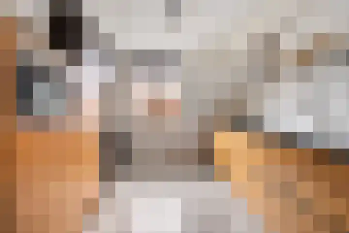 IJzerwerker 11 Sappemeer thumbnail 14