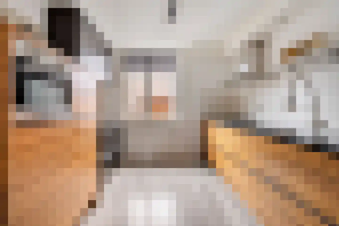 IJzerwerker 11 Sappemeer thumbnail 15