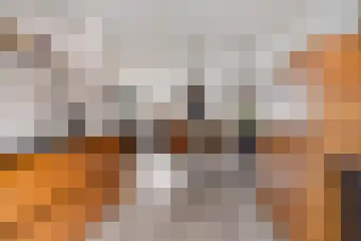 IJzerwerker 11 Sappemeer thumbnail 15
