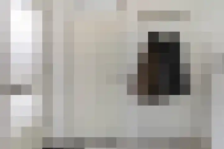 IJzerwerker 11 Sappemeer thumbnail 16