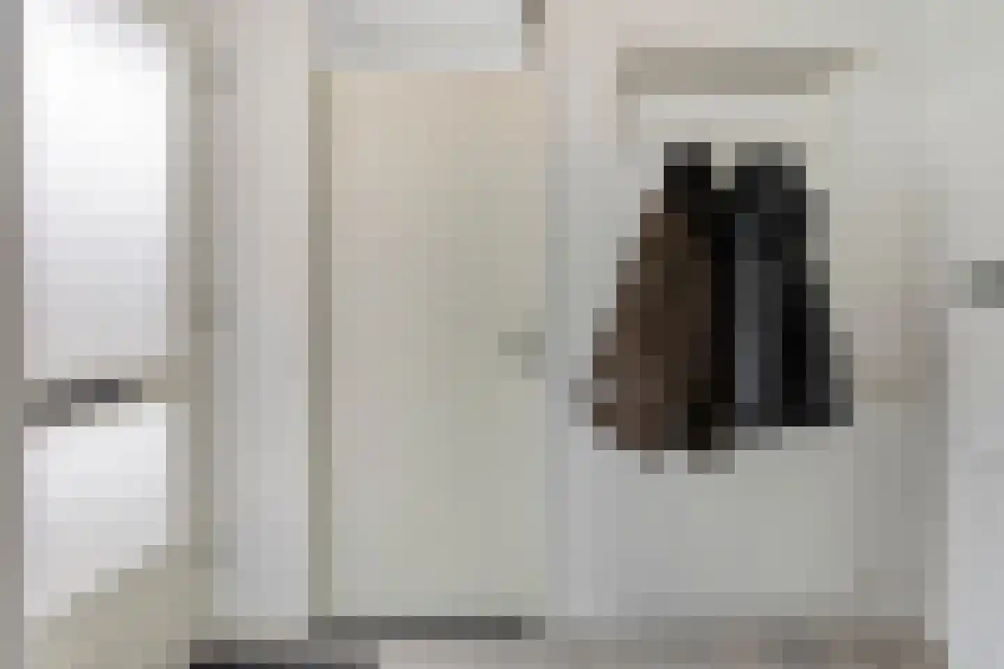 IJzerwerker 11 Sappemeer thumbnail 17