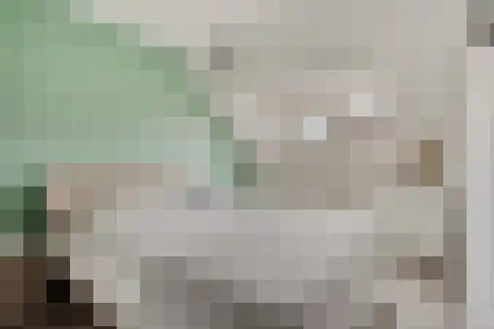 IJzerwerker 11 Sappemeer thumbnail 20