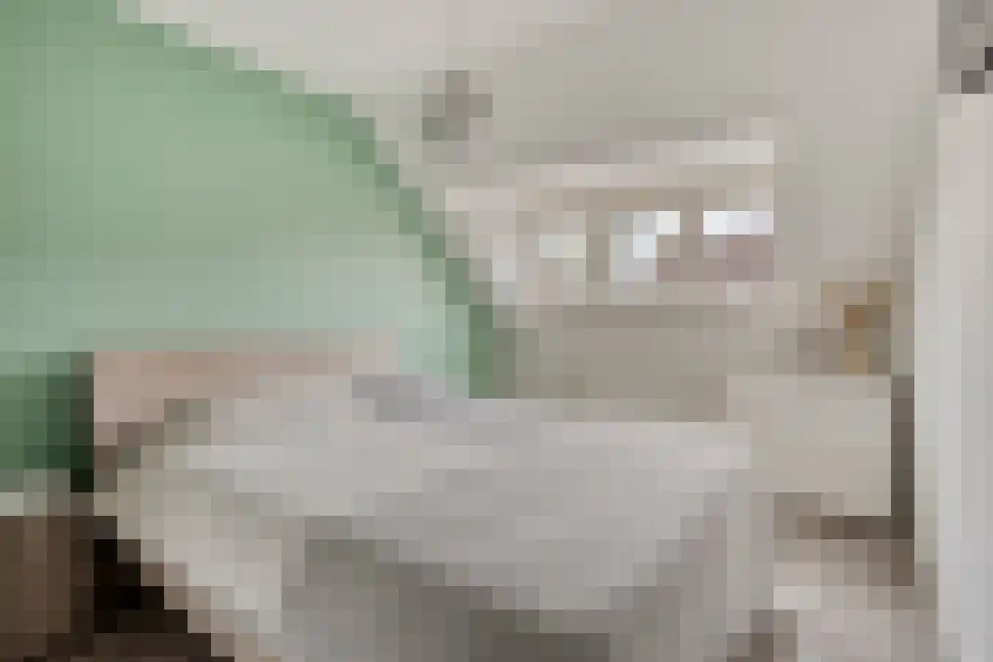 IJzerwerker 11 Sappemeer thumbnail 21