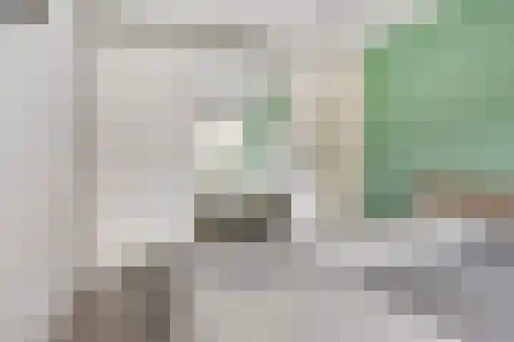 IJzerwerker 11 Sappemeer thumbnail 21