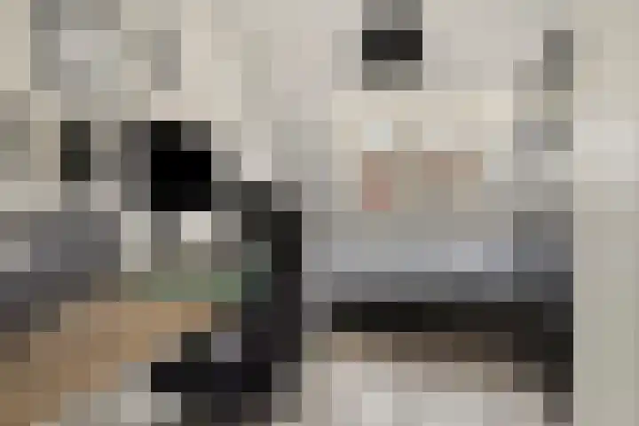 IJzerwerker 11 Sappemeer thumbnail 22