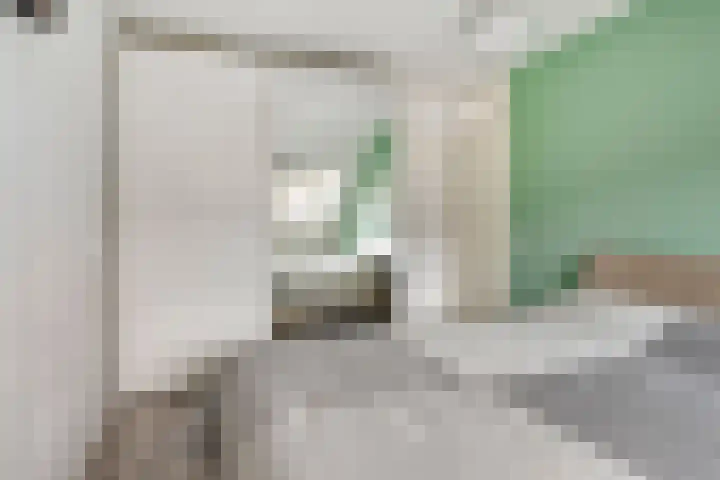 IJzerwerker 11 Sappemeer thumbnail 22