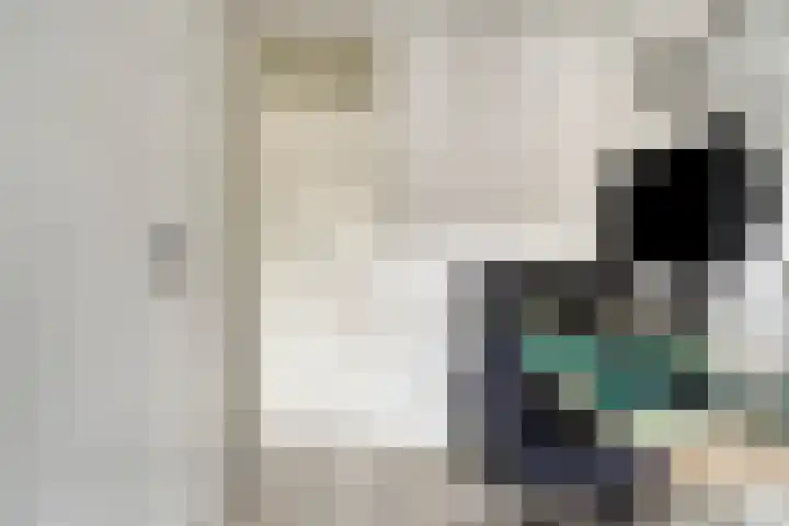 IJzerwerker 11 Sappemeer thumbnail 23
