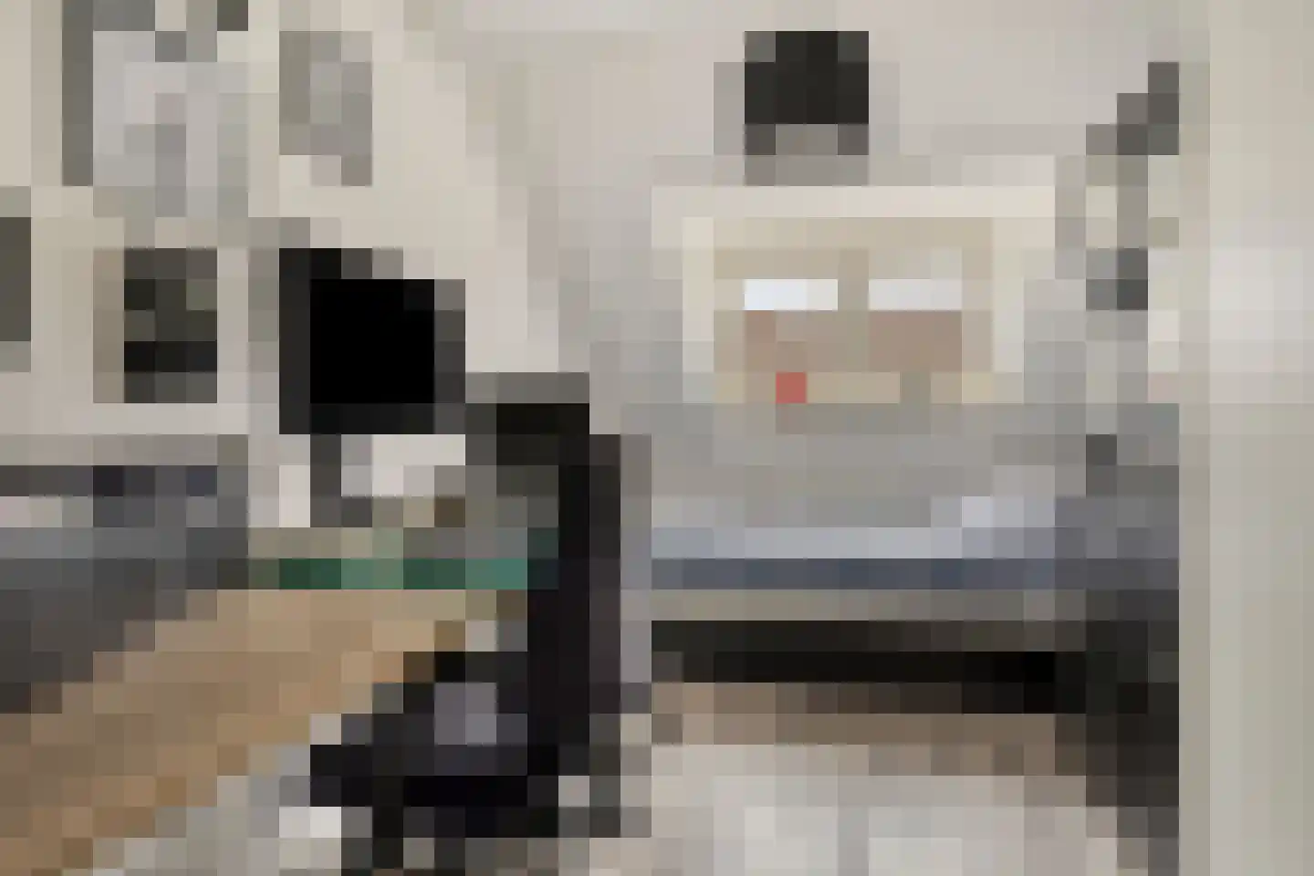 IJzerwerker 11 Sappemeer thumbnail 23