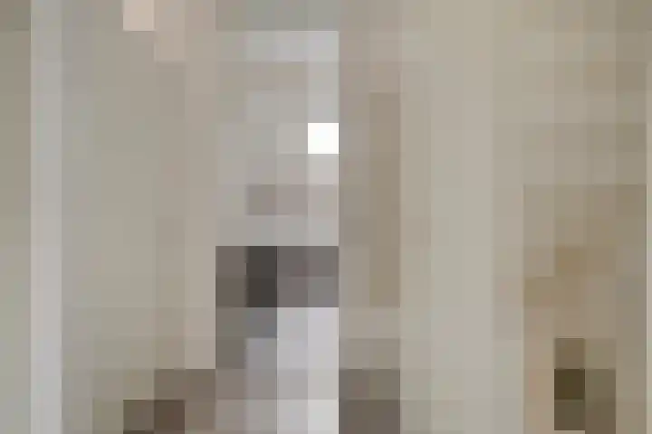 IJzerwerker 11 Sappemeer thumbnail 24