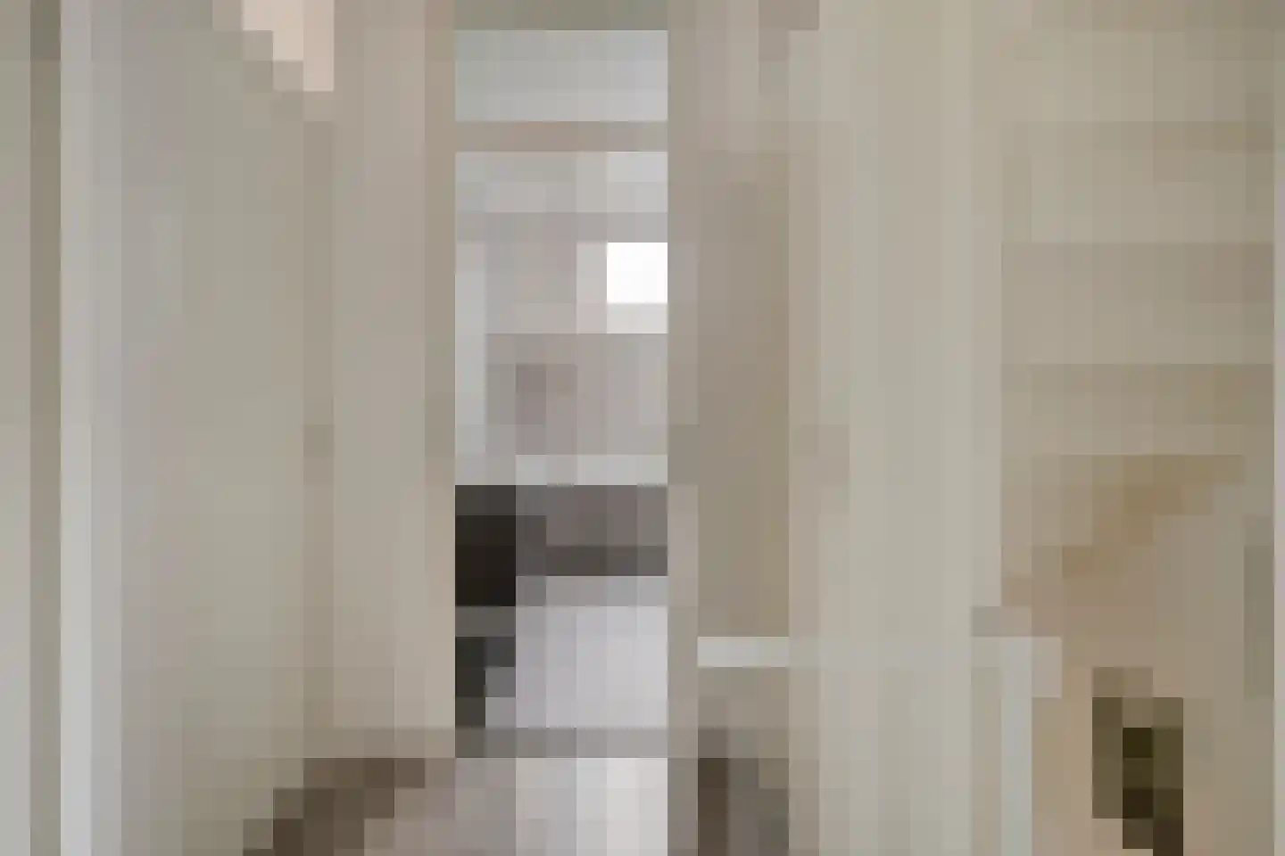 IJzerwerker 11 Sappemeer thumbnail 25