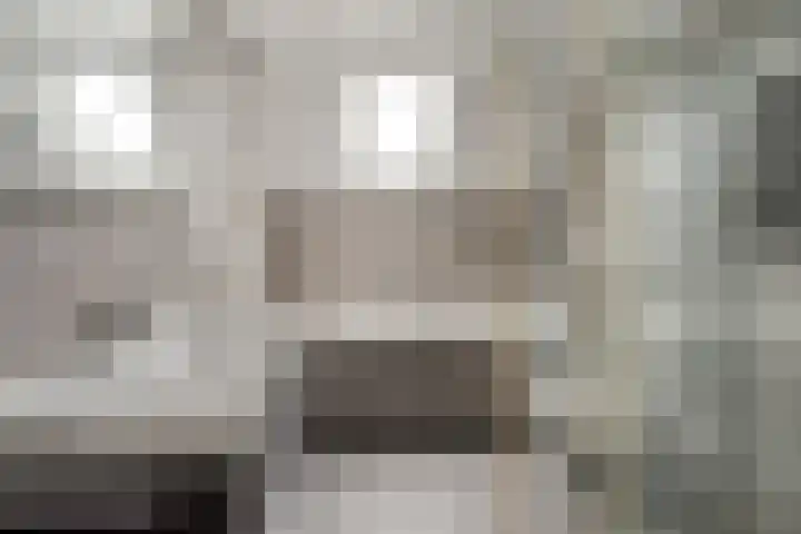 IJzerwerker 11 Sappemeer thumbnail 25