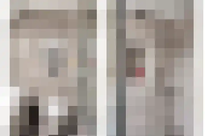 IJzerwerker 11 Sappemeer thumbnail 26
