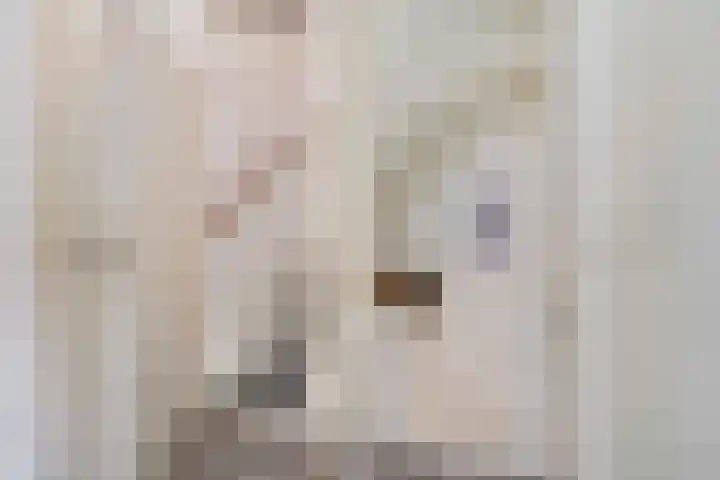 IJzerwerker 11 Sappemeer thumbnail 29
