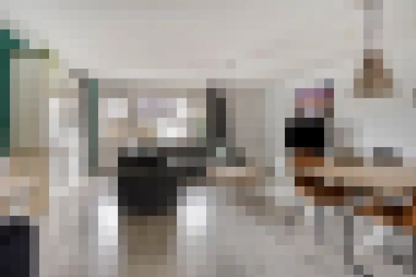 IJzerwerker 11 Sappemeer foto 3