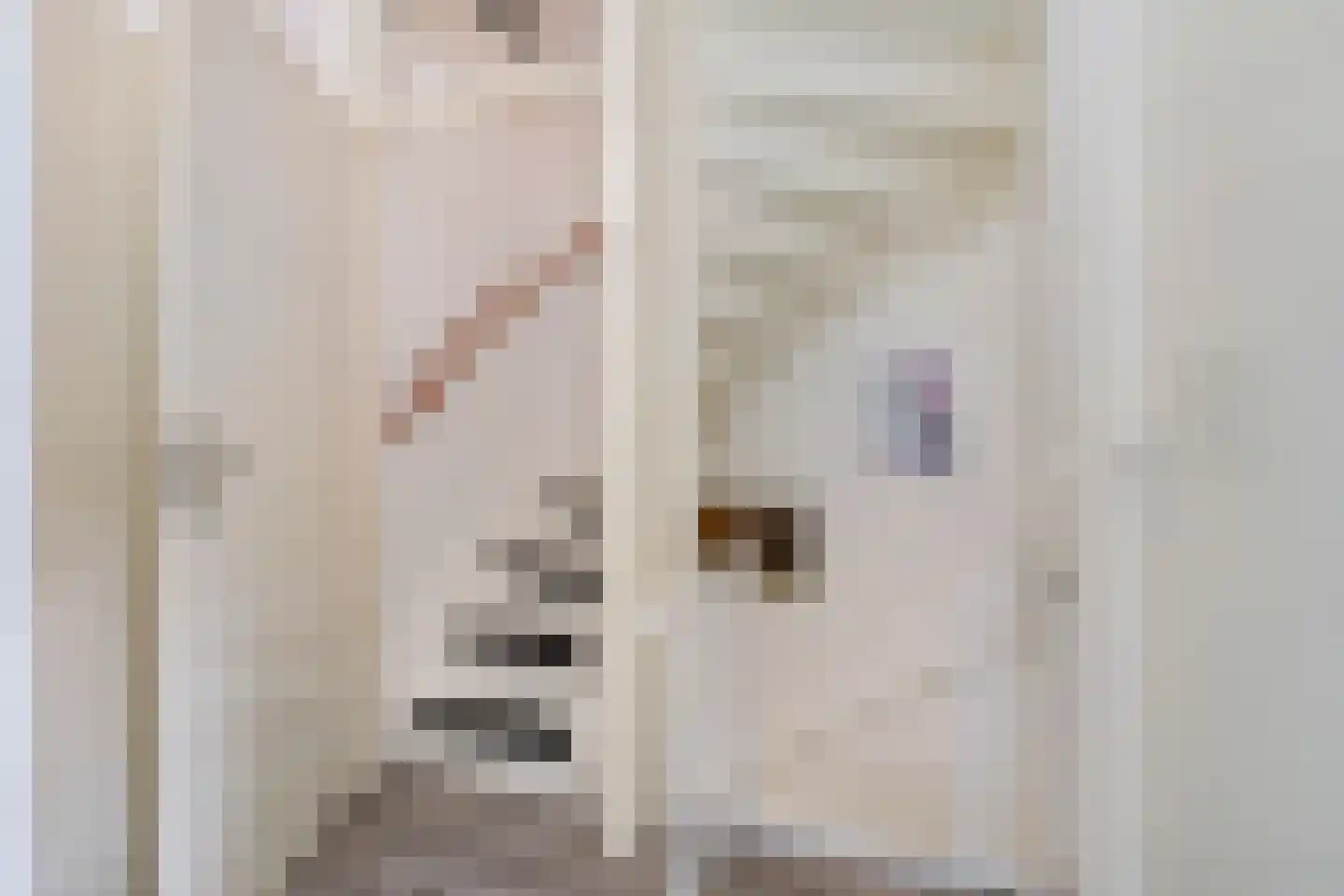 IJzerwerker 11 Sappemeer thumbnail 30