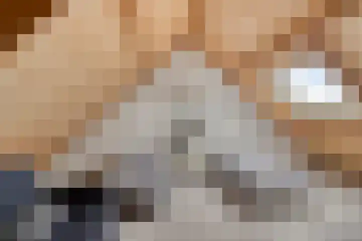 IJzerwerker 11 Sappemeer thumbnail 30