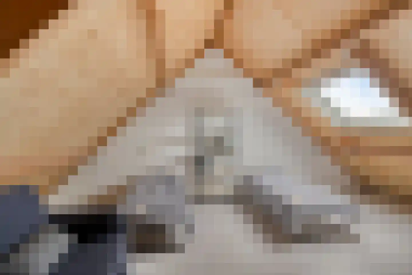 IJzerwerker 11 Sappemeer thumbnail 31