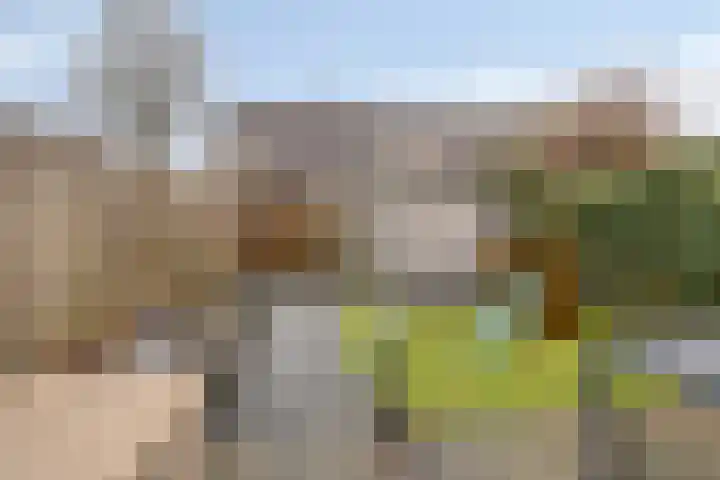 IJzerwerker 11 Sappemeer thumbnail 31