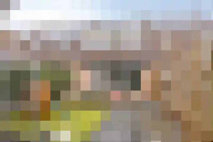 IJzerwerker 11 Sappemeer thumbnail 32